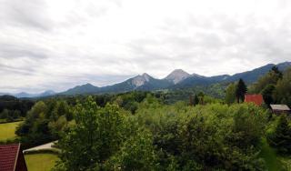 Alpe-Adria Apartments - Oberaichwald - 9