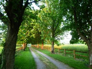 Gîte Le Tremblay - Thianges - 7