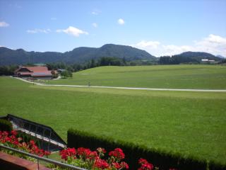 Haus Wilhelm - Seekirchen am Wallersee - 8