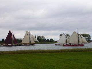 B&B Korendijk - Zuid-Beijerland - 4