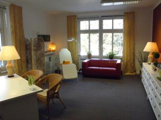 Parkhotel Helene - Bad Elster - 1