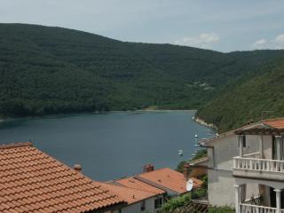Apartments by the sea Duga Luka - Prtlog, Labin - 2335 - 2