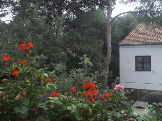 Apartments by the sea Artatore, Losinj - 2509 - 2