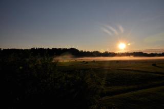 Põnka Guesthouse - 1