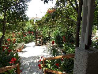Stamatia's Garden - Agnontas - 0