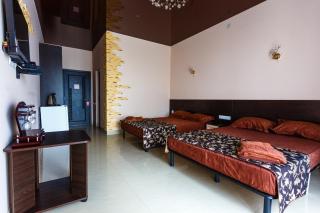 VIP Hotel - Kobleve - 4