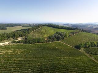 Agriturismo San Gregorio - Chiusi - 4