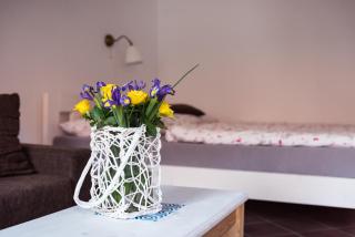 Apartmany Rabi - Rabí - 6