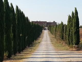 Borgo Beccanella - Asciano - 0
