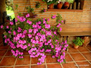Casa Rural El Roblon - Sartajada - 4