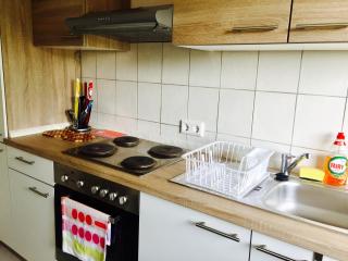 Mainzimmer Business Appartment - Monteurwohnung mit Burgblick - 3