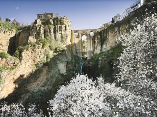 Molino Ronda - Ronda - 2