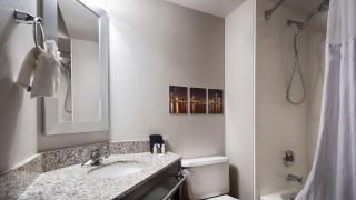 Best Western O'Hare/Elk Grove Hotel - Elk Grove Village - 5