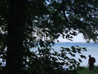 LindegaardApartment - woods and sea - Hejls - 0