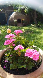 Ollin Calli Hostal-Temazcal - Tepoztlán - 3