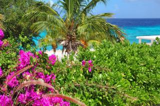 Hilltop Sea view , Boca Gentil - 6