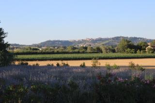 Bassarì - Recanati - 4