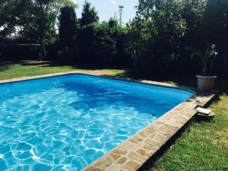Villa Nymphea Water Lily - Hisarya - 2