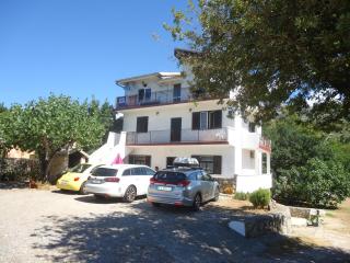 Apartments Vrša - Seline - 0