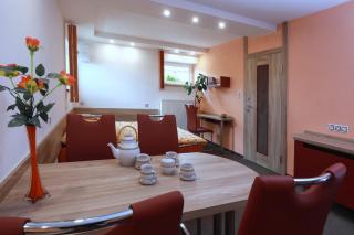 Wellness Penzion Pod Rozhlednou - Kostelec nad Orlicí - 4