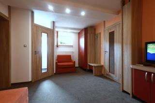 Wellness Penzion Pod Rozhlednou - Kostelec nad Orlicí - 3