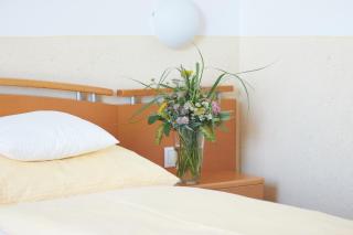 Hotel & Restaurant Seehof - Podersdorf am See - 1
