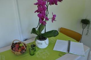 Apartment Marioni - Buzet - 5