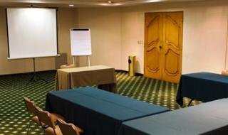 Hotel Plaza Calzada - Monterrey - 7