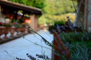 SarAnd Relais-Adults Only - Fondi - 1