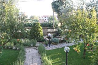 Bed&Breakfast degli ulivi - 7