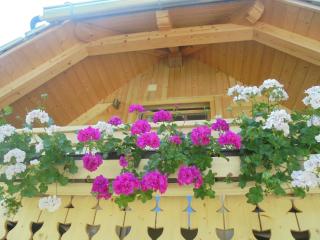 Farmhouse pri Miklavu - Bohinj - 2