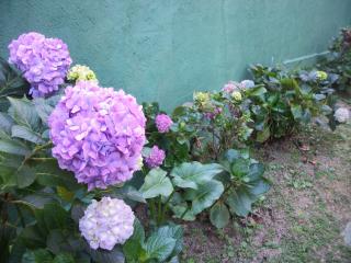 Chales das Andorinhas - 2