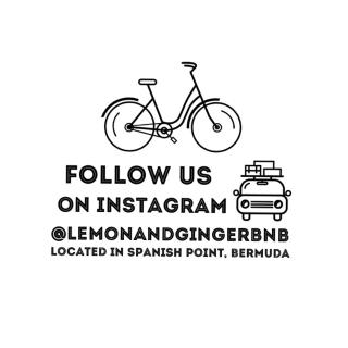 Lemon and Ginger - Pembroke - 1