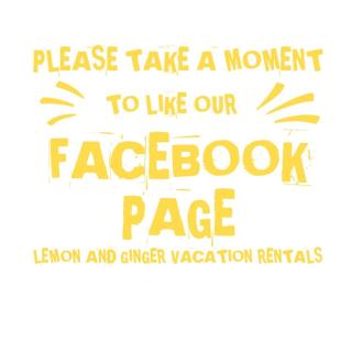 Lemon and Ginger - Pembroke - 2