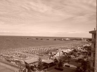 Hotel Al Ragno - Cesenatico - 3