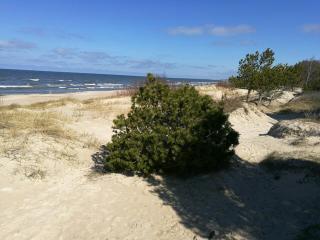 Juodalksnės apartamentai - Palanga - 5