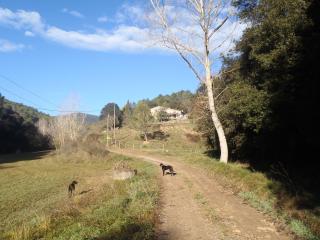 Can Parròquia - Sant Esteve de Palautordera - 8