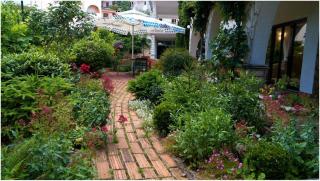 Apartment for 2 P. - Trogir - 5