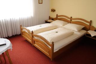 Hotel Schwarzes Ross - Schwarzach am Main - 3