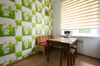 Nadezhda Apartments on Jeltoksan 103 - Almaty - 4