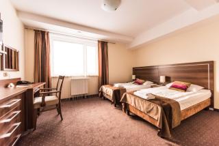 Hotel Austeria Conference & Spa - Ciechocinek - 7