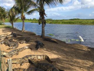 T2 de 56m2 sur terrain (560m2)avec jardin securise - 1