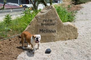 Melissa B&B - Castellabate - 8