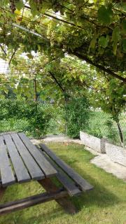 Casa Vacanze Riviera del Brenta - 1