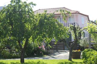 Casa Castedo do Douro - Castedo - 8