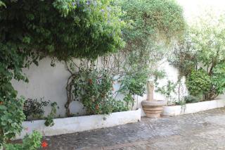 La casita de la ciudad - Ronda - 9