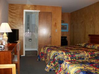 Mohican Motel - Cooperstown - 3