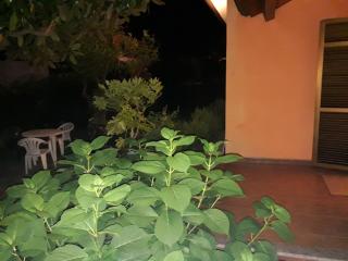 New Life - Carrara - 1