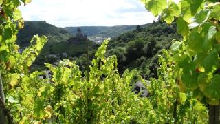 Talblick I - Cochem - 2