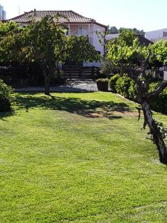 Casa Castedo do Douro - Castedo - 7